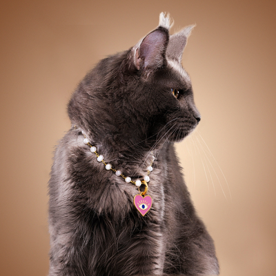 Spiritual Pet Protection: Shield Your Cat in Positive Energy