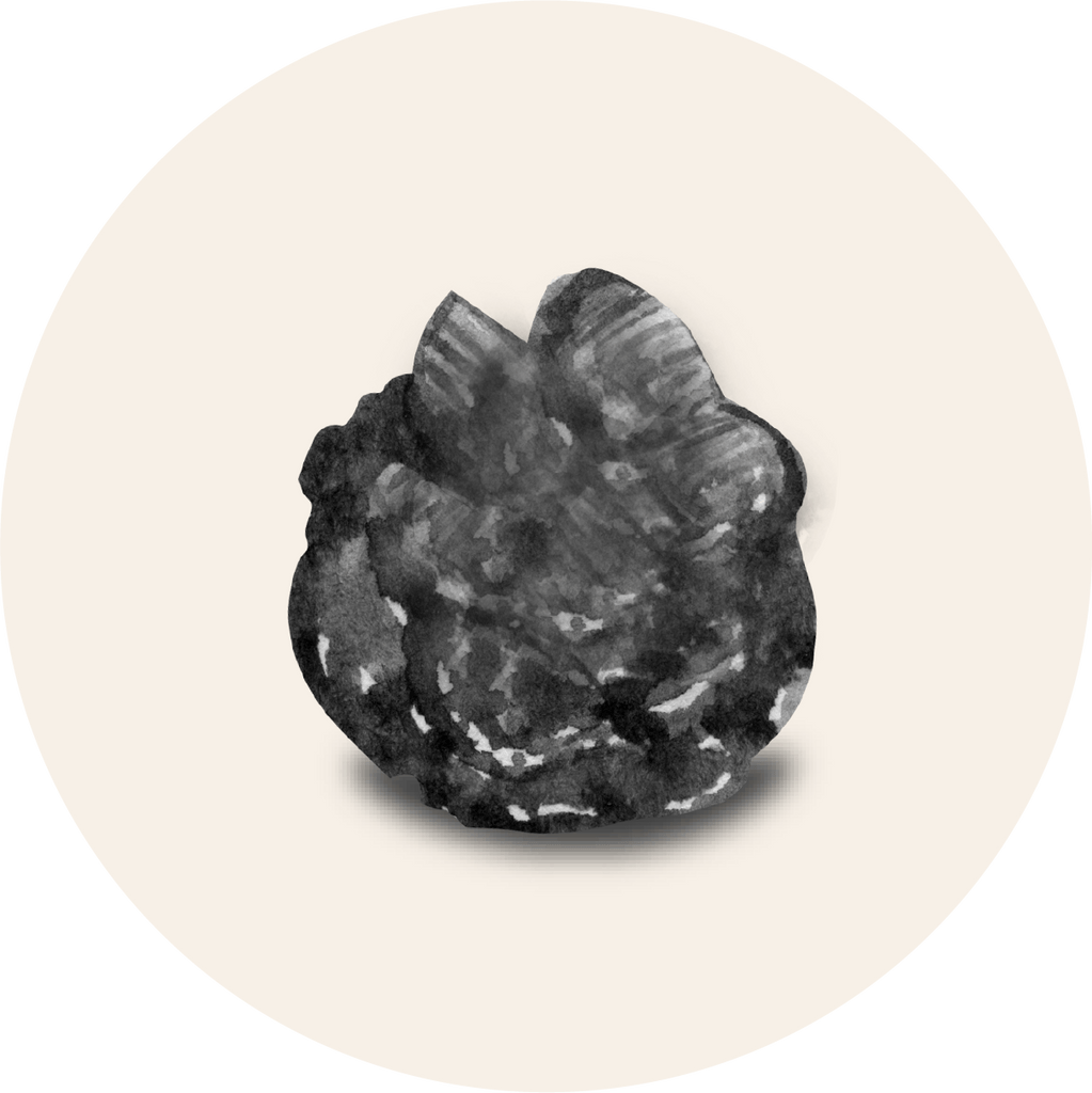 Lava stone