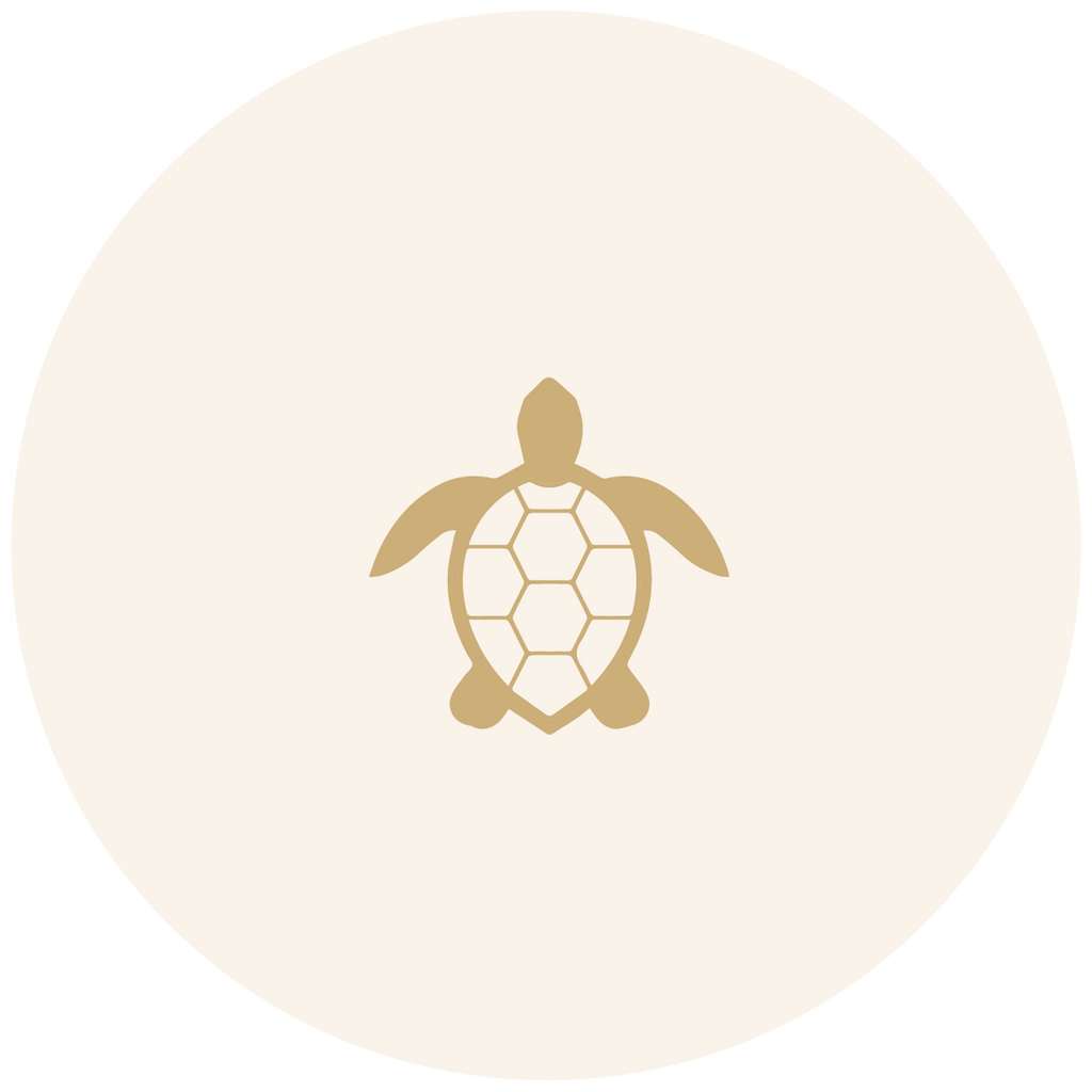 Turtle Symbol