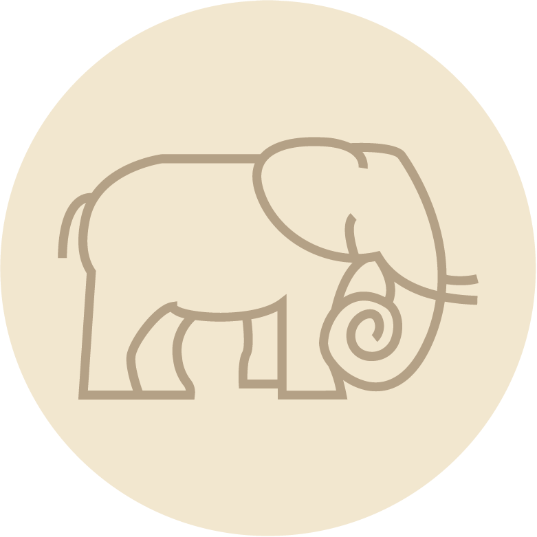 Elefante