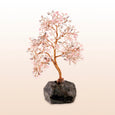 Divine Guidance - Feng Shui Tree